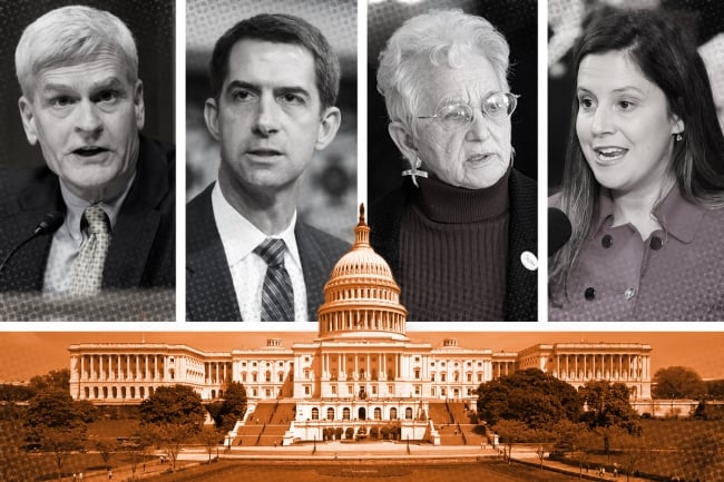 An illustration with headshots of Sens. Bill Cassidy and Tom Cotton along with Reps. Virginia Foxx and Elise Stefanik