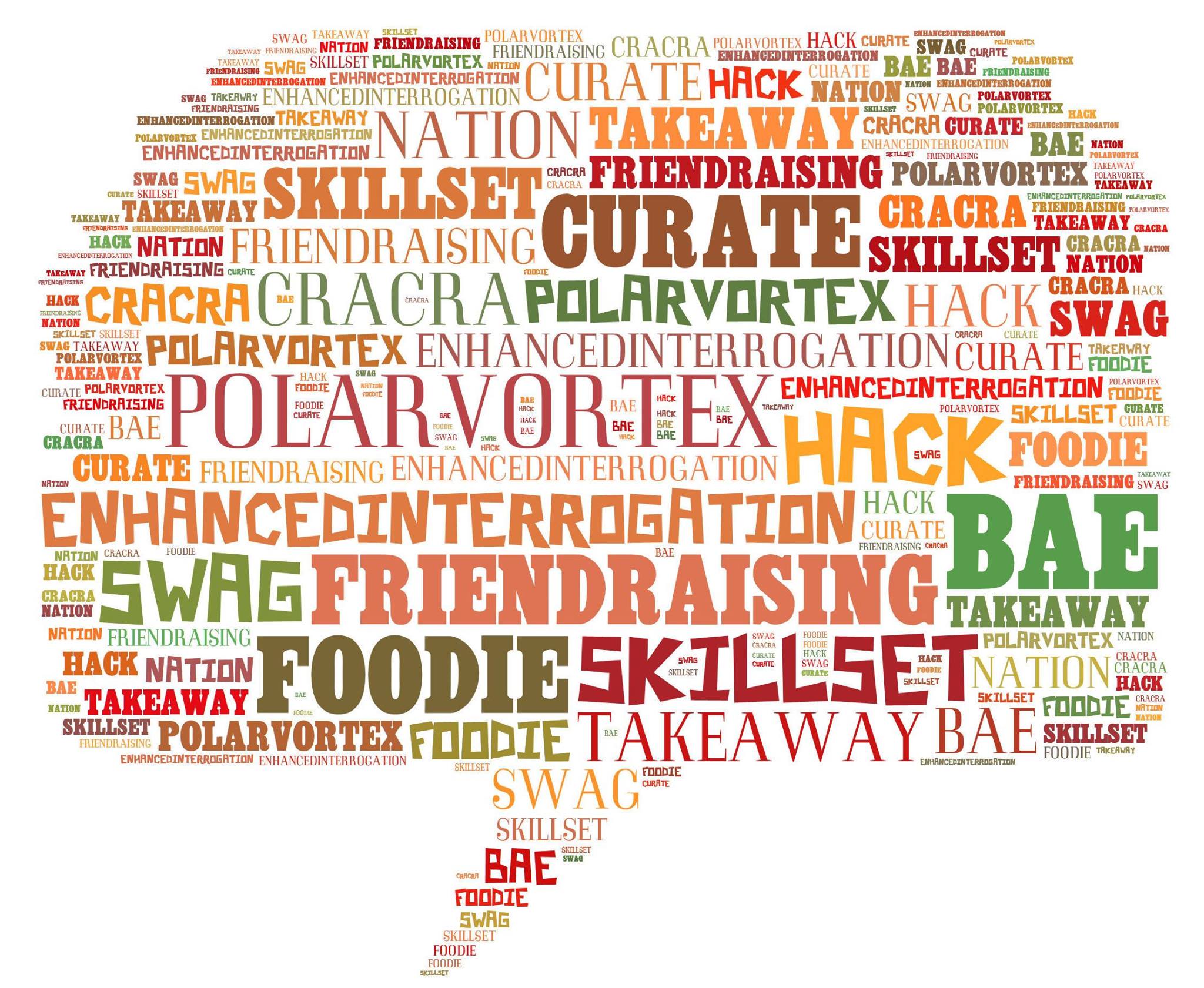 Word cloud including trendy terms such as "curate," "hack," "takeaway," "skill set," "polar vortex," "enhanced interrogation," "friendraising," "foodie" and "swag."