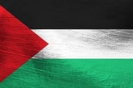 An image of the Palestinian flag.