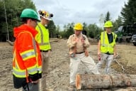 Four men in hard hats, three wearing high-visibility jackets and vests, on a logging site.