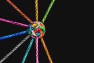 Nine different strands of rope, each of a different bright color, come together to form a single colorful knot.