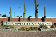 A sign on a brick wall reading "The University of Arizona" with large cacti.