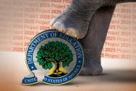 An elephant foot crushes a cracked logo of the Education Department. Behind it an orange background repeats "Project 2025."
