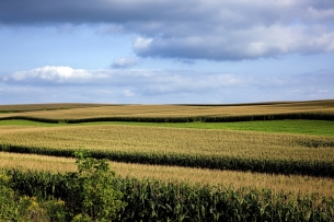 Rolling farmland in rural Wisconsin.