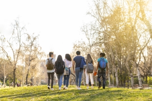 Back view of a row of young multi-ethnic students walking together in the park