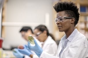 Student reviewing specimens in cell-culture dish