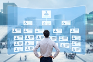 Man stands with hands on hips, with his back to viewer, looking a huge organization chart