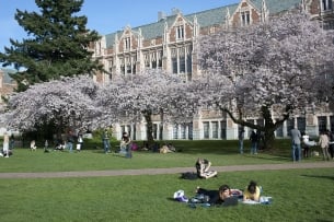 Students relax on the lawn of a quad at the University of Washington in Seattle, with blossoming cherry trees in the background.