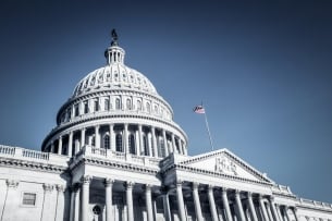 The US Capitol