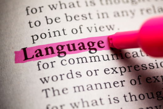 A close-up of a pink highlighter being used to highlight a dictionary entry for the word "language."