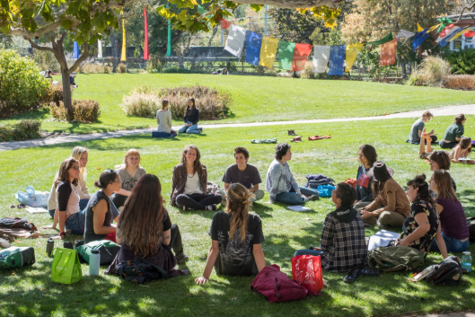 A group of students sits on the lawn at Naropa University on a sunny day