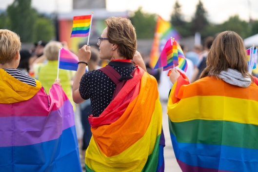 Wrapped in bisexual flag and pride flags, this trio of people are waving small pride flags and watching an LGBTQ+ pride event