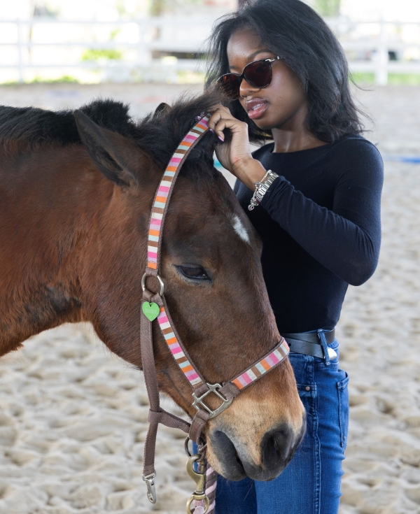 A student places a halter on a horse