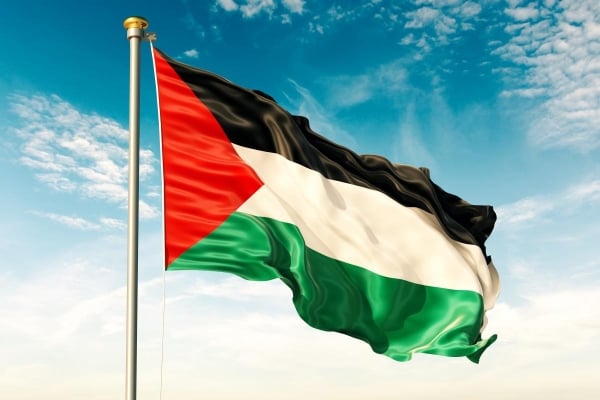 Academic statements express solidarity with Palestinians and condemn ...