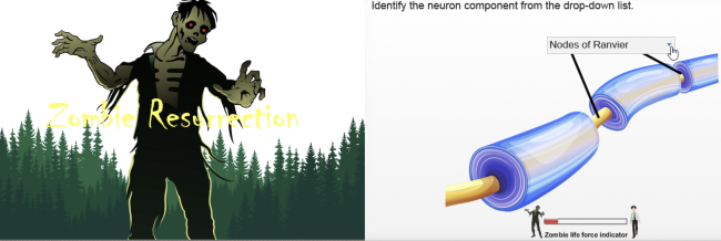 Screenshots of the Zombie Resurrection game, one of a zombie and one asking students to identify a given neuron component (nodes of Ranvier) from a drop-down list.
