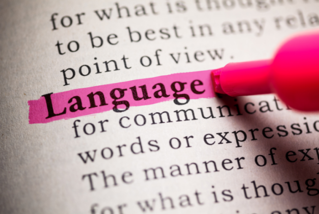 A close-up of a pink highlighter being used to highlight a dictionary entry for the word "language."