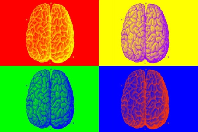 A colorful pop art image of a human brain