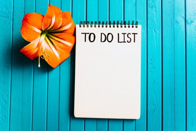 Blank to-do list on aqua background with an orange flower on the side