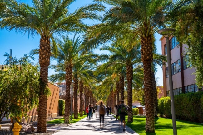 Students walk between palm trees on ASU's campus in Tempe, Ariz.