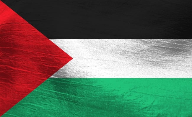 An image of the Palestinian flag.