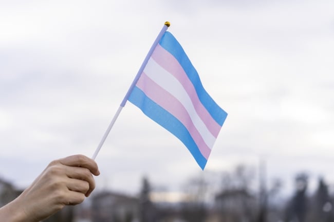 A close-up of the blue-, pink- and white-striped transgender pride flag being held by a person; only the person's hand is visible.