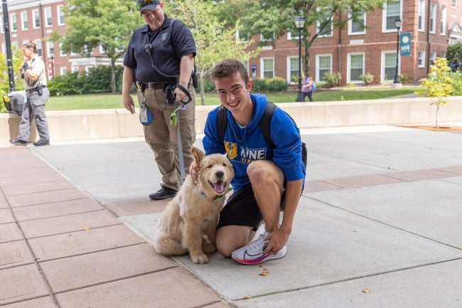 Meet UTPD's K9s Who Help Keep UT Safe : Police Department