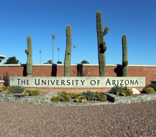 U of Arizona - Data Science Degrees, Accreditation, Applying, Tuition