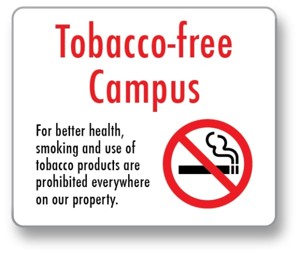 Essay Arguing That Campus Smoking Bans Are Unsafe