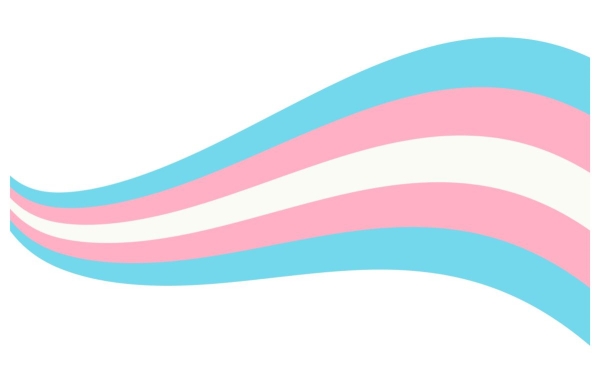 A drawing of a waving transgender pride flag. The flag has five horizontal stripes: blue above pink above white above pink above blue again.